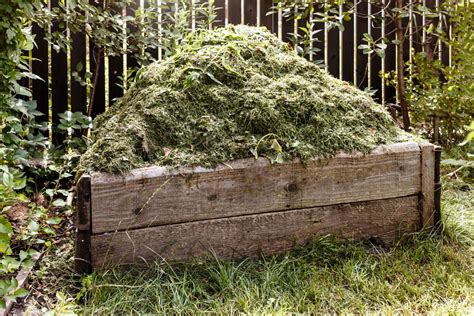 Composting Grass Clippings How To Guide Plantura