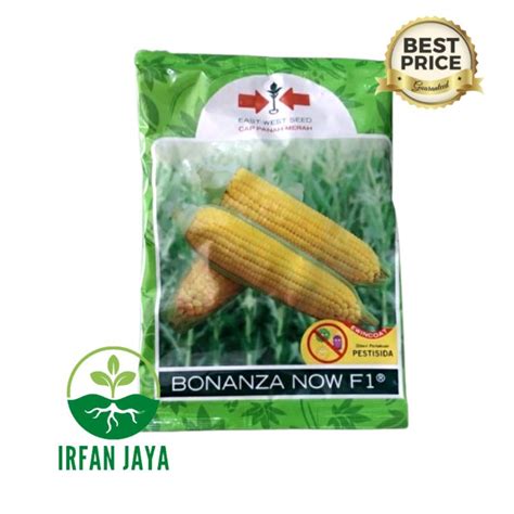 Jual Benih Jagung Manis Bonanza Now F Isi Butir Exp Agustus