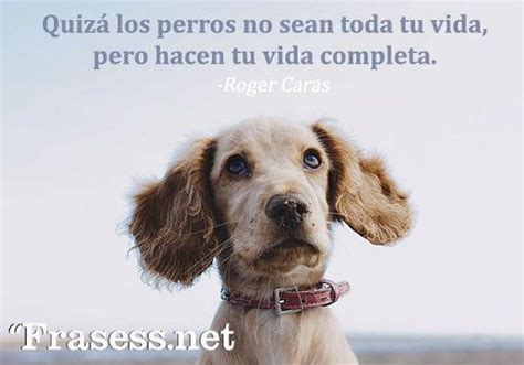 60 Frases Para Tu Perro Que Lo Amas Y Lo Quieres