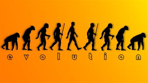 Evolution Of Man Computer Wallpaper