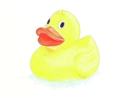 Rubber Ducks Drawing