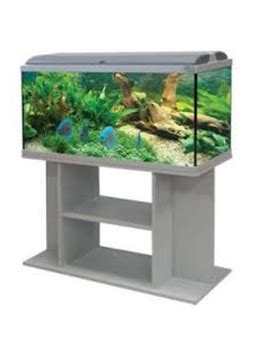 PEIXANÁRIO LOJA DE AQUARIOFILIA Aquario Aquadream 104x40x47 Cor