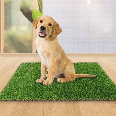 Tapis De Fausse Pelouse Artificielle Pour Toilette Pour Animaux De