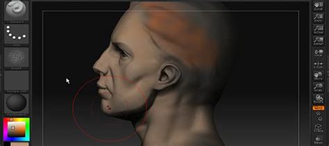 Cgarena Video Tutorial Learn Sculpting In Zbrush Part Beginners