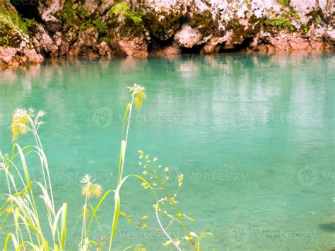 Exploring the Crystal Clear Waters of Tara River Canyon in Montenegro