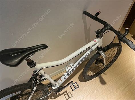 Cannondale Scalpel Optimo 로드바이크 사이클 중고나라