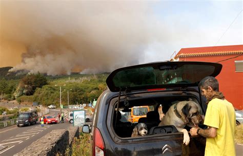 Thousands Evacuated As Wildfire On Spains Tenerife Island Spreads In