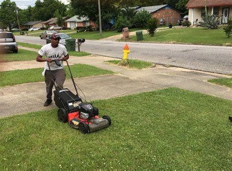 Blades Of Tradition The Story Of The Mexican Lawnmower Gossip Times