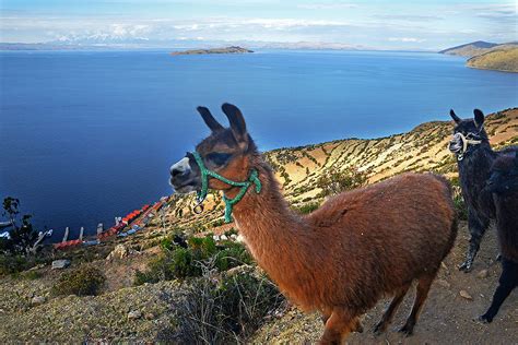 Visiter Lac Titicaca Pr Parez Votre S Jour Et Voyage Lac Titicaca