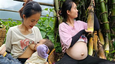 TIMELAPSE 6 Months Daily Life Of Pregnant Women Harvesting