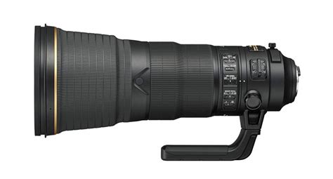 10 Best Telephoto Lenses for Wildlife Photographers (2021)