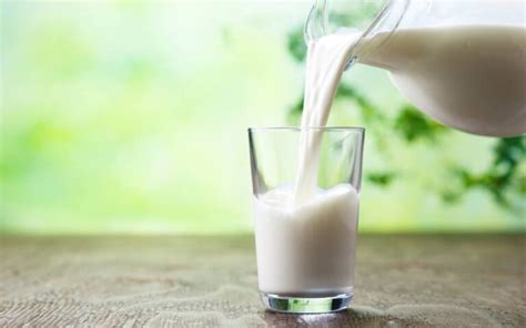 Descubre Cuántas Calorías Tiene Un Vaso De Leche Desnatada Y