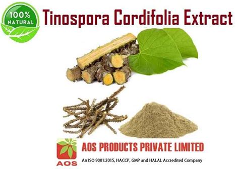 Tinospora Cordifolia Extract - Uses, Benefits and Properties