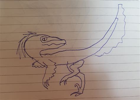 Daily drawings of dinosaurs day 1 velociraptor (inspired by ...