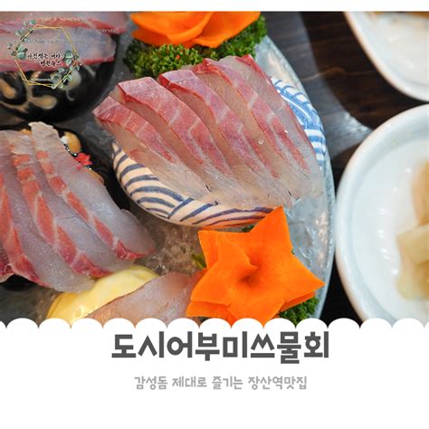 장산역맛집 싱싱한 감성돔에 행복만끽 도시어부미쓰물회 네이버 블로그