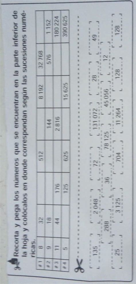 Recorta Y Pega Los N Meros Que Se Encuentran En La Parte Inferior De La