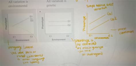 Behavioral Bio Exam 1 Flashcards Quizlet