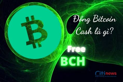 T M Hi U Ng Bitcoin Cash L G S Kh C Bi T Gi A Btc V Bch