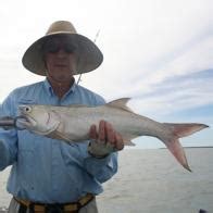 threadfin blue  fishing place