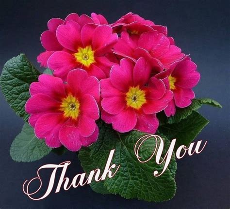 A Bouquet Of Pink Flowers With The Words Thank You