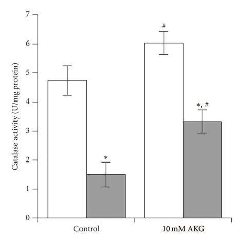 Effect Of Exposure To 10 MM H2O2 For 30 Min On Catalase Activity A