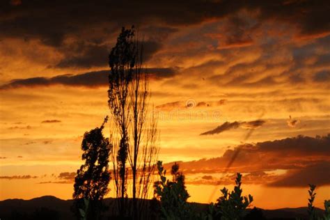 Sunset View On The Farm Rogue Valley Oregon Stock Image Image Of