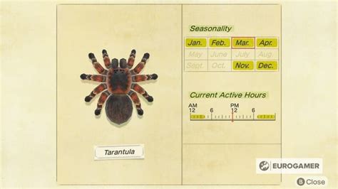 Animal Crossing Tarantulas How To Catch Spawn And Get Tarantula