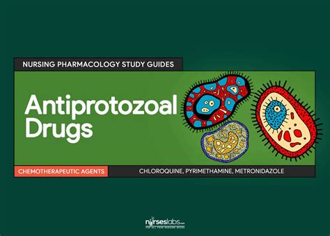 Antiprotozoal Drugs Nursing Pharmacology Study Guide Nurseslabs