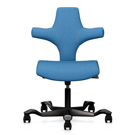 9 To 5 Seating HÅg Capisco Chair And Stool The New Ergonomic