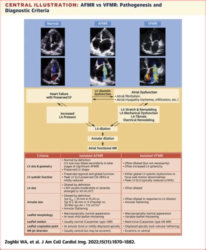 Atrial Functional Mitral Regurgitation A Jacc Cardiovascular Imaging Expert Panel Viewpoint