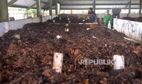 Surabaya Jadi Kota Percontohan Pengolahan Sampah Menjadi Energi Listrik