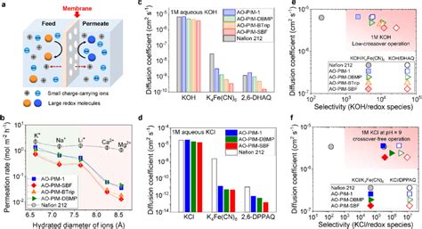 A Diagram Of Selective Ion Transport Through Membranes B Ion