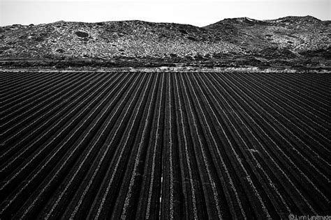 Black and White Photography Farm Field Harvest Landscape Photography ...