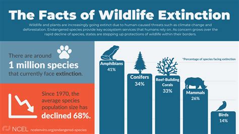 The Facts of Wildlife Extinction | National Caucus of Environmental Legislators