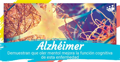 El Mentol Mejora La Funci N Cognitiva En La Enfermedad De Alzheimer