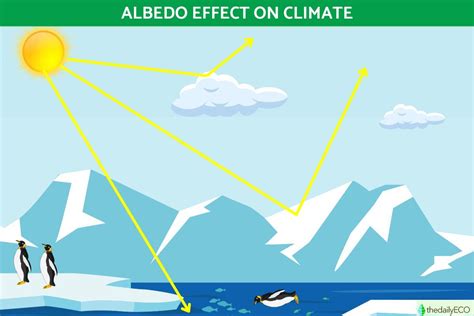 What Is The Albedo Effect On Climate Definition And Effects