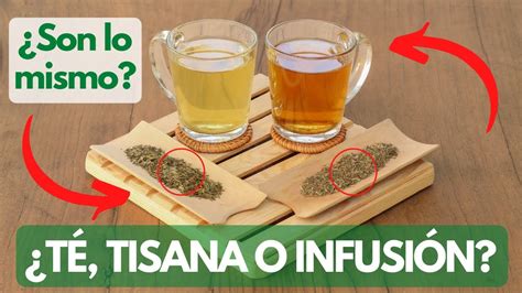 Diferencias Entre T Y Tisana Son Lo Mismo Que Una Infusi N