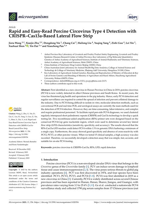 Pdf Rapid And Easy Read Porcine Circovirus Type Detection With