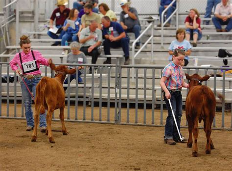 Expo Photos - American Dexter Cattle Association