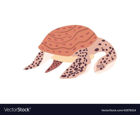 Flat Cute Turtle Royalty Free Vector Image Vectorstock