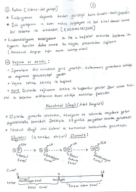 Solution Breeding And Growing System In Humans Insanlarda Reme Ve