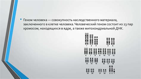 Геном человека - презентация онлайн