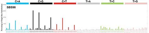 COSMIC SBS98 Mutational Signatures