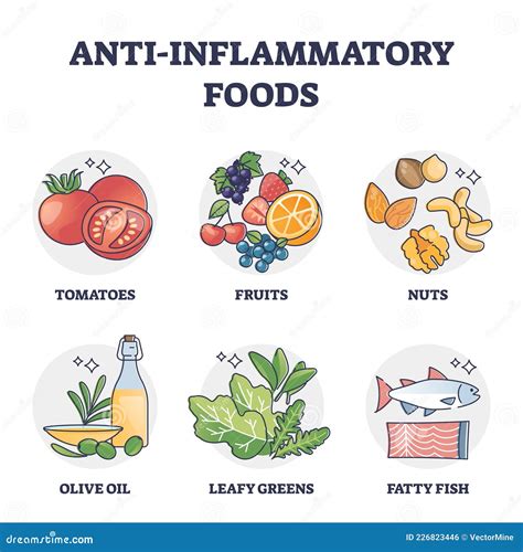 Lista De Alimentos Antiinflamatorios Para La Recolecci N Del Esquema De