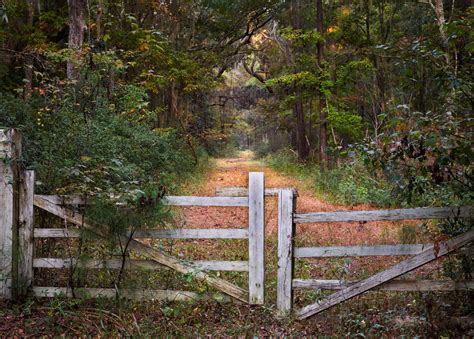 Wallpaper Forest Nature Fence Wilderness Gates Tree Autumn