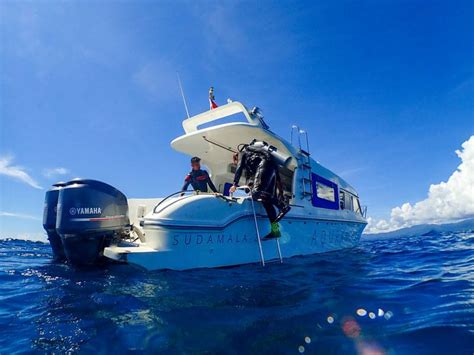 Diving In Komodo Neptune Scuba Diving Padi Dive Center