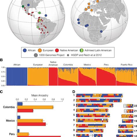 Genetic Ancestry And Admixture In Latin America A The Global