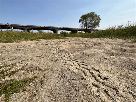 30 Years Ago These Kansas Farmers Were Told To Use Less Water Heres How They Did It Kcur