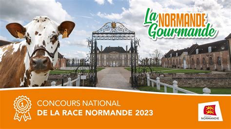 Concours National De La Race Normande 2023 La Normande Gourmande