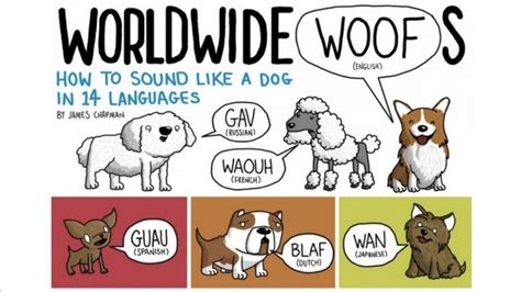 What Sound Does A Dog Make In Different Languages